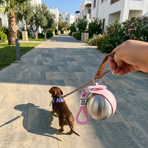 BLUSCO GO - Borraccia da passeggio 2 in 1